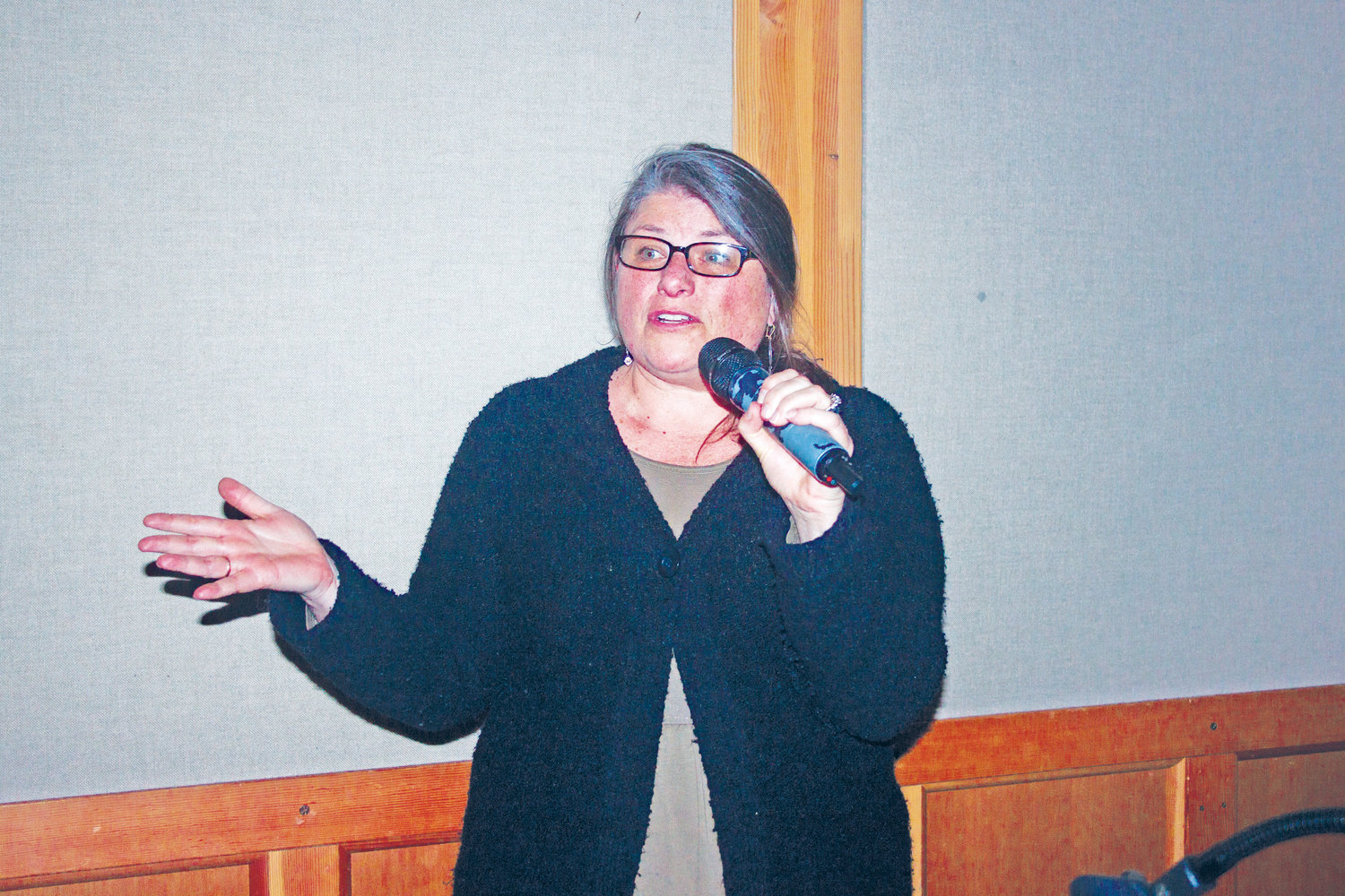 Teresa Purcell of the Sound Defense Alliance offers action steps to attendees of a March 21 meeting at the Northwest Maritime Center on alleviating Navy jet noise.